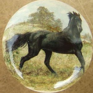 May include: A black horse running through a field with a green tree in the background.