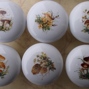 May include: Six white ceramic knobs with mushroom illustrations. Each knob features a different mushroom design with brown, yellow, and green accents.