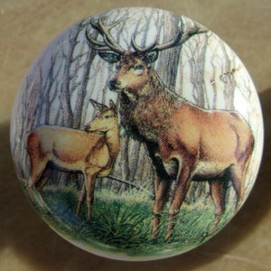 May include: A ceramic knob with a printed image of a deer and a fawn in a forest setting. The deer is brown with large antlers and the fawn is a lighter brown.