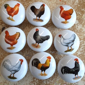 May include: Set of 10 ceramic knobs featuring various rooster and chicken designs. The knobs are white with a glossy finish and feature colorful images of roosters and chickens in various poses.