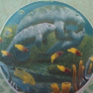 May include: Round ceramic coaster featuring an underwater scene with a mother manatee and calf. The manatees are gray, surrounded by yellow and red fish, and set against a blue and green background. The coaster has a white border.