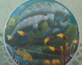 Manatee Florida sea cow fish Cabinet Knobs Kitchen Pulls Hardware