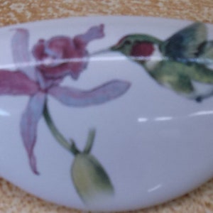 Humming BIRD #8 Domestic CABINET drawer kitchen hardware door pulls