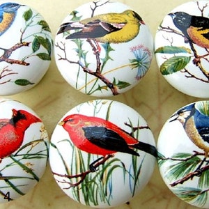 May include: Six ceramic knobs with different bird illustrations. Each knob features a white background with a colorful bird perched on a branch. The birds include a bluebird, a yellow bird, a black and orange bird, a red cardinal, a red bird with black wings, and a blue jay.