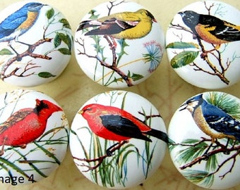 6 Domestic birds Ceramic Cabinet Knobs Kitchen Door pulls Door Hardware