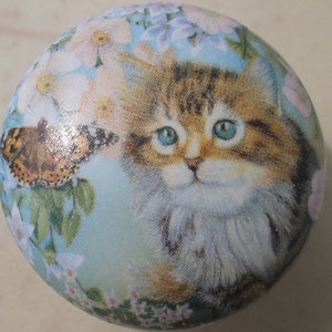 May include: A round ceramic knob with a blue background and a painted image of a cat with green eyes and a butterfly. The cat is surrounded by white and pink flowers.