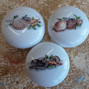 May include: Three white ceramic knobs with a nautical theme. Each knob features a different seashell and a shrimp or crab design.