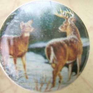 May include: A round decorative knob featuring a winter scene with two deer. The knob has a white base and a detailed image of a buck with large antlers and a doe standing in a snowy landscape with evergreen trees in the background.