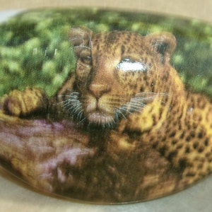 May include: White ceramic drawer pull featuring a detailed image of a leopard resting on a log. The leopard has a spotted coat and is set against a backdrop of green foliage. The pull is oval-shaped.
