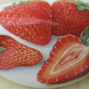 May include: A white, oval-shaped decorative stone features a vibrant illustration of ripe strawberries. Two whole strawberries and two strawberry halves are depicted, showcasing their red color and textured surfaces. Green leaves add contrast.