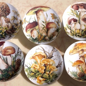 Mushrooms #4 ceramic Cabinet Knobs kitchen hardware (6)
