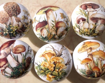 Mushrooms #4 ceramic Cabinet Knobs kitchen hardware (6)