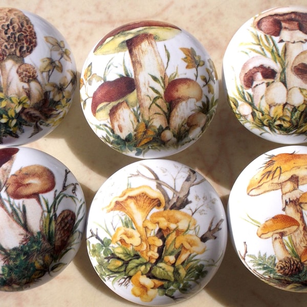 Mushrooms #4 ceramic Cabinet Knobs kitchen hardware (6)