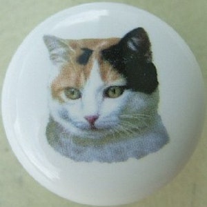 May include: A white ceramic tile with a colorful cat image. The cat has black, orange, and white fur. The cat is looking directly at the viewer.