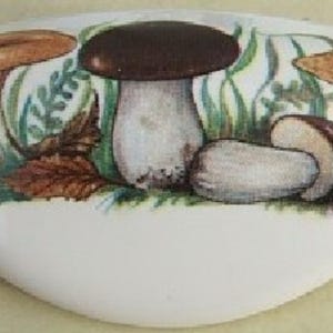 May include: A white, oval-shaped decorative ceramic piece featuring a colorful illustration of various mushrooms. The mushrooms are depicted in shades of brown, tan, and white, set against a backdrop of green grass and foliage. A detailed, nature-themed design.