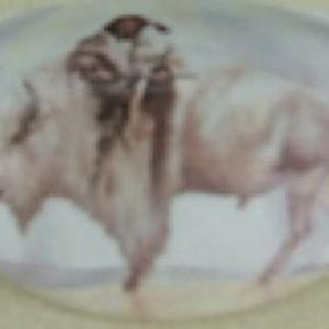 Indian Maiden white buffalo CABINET drawer kitchen hardware door pulls