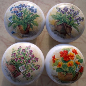 May include: Four white ceramic cabinet knobs with floral designs. Each knob features a different potted plant: blue borage, purple sage, pink wild thyme, and orange nasturtium. The knobs have a vintage, botanical theme.