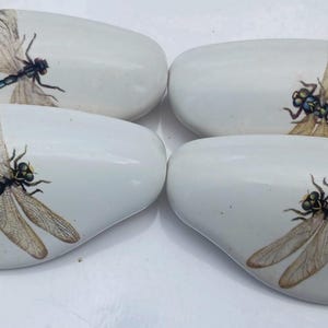 May include: Four white, oval-shaped decorative cabinet knobs. Each knob features a detailed illustration of a dragonfly with tan wings and a black body. The dragonfly design is centered on the white surface.