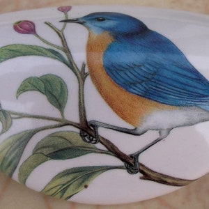 May include: A white ceramic cabinet knob with a bluebird perched on a branch with green leaves and pink flowers.