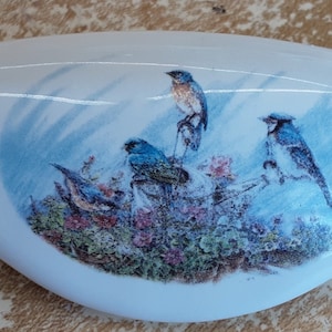 May include: White, oval-shaped ceramic dish with a painted scene of four blue birds perched on branches with pink and green foliage. The birds are depicted in shades of blue, brown, and white against a light blue background.