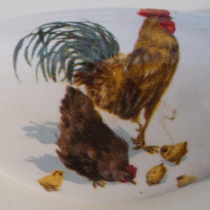 May include: White, oval-shaped ceramic dish with a rooster and hen illustration. The rooster is brown and gold with a red comb and a blue and green tail. The hen is brown, and there are several yellow chicks.