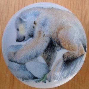 May include: A ceramic knob with a watercolor painting of a polar bear cub on a white background.