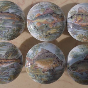 May include: Six round ceramic knobs with different fish illustrations. Each knob features a different species of fish in a watercolor style, set against a background of water and aquatic plants.