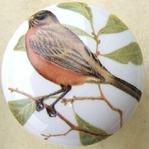 May include: A round, white ceramic knob featuring a detailed illustration of a bird perched on a branch with green leaves. The bird has a reddish-orange breast, brown wings, and a black head. The knob is likely for a cabinet or drawer.