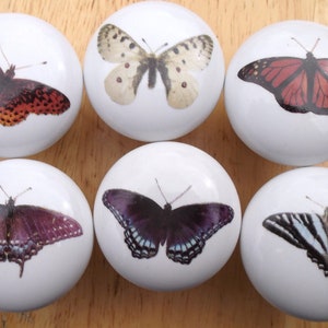 May include: Six white ceramic knobs with different butterfly designs. The butterflies are in various colors, including orange, black, white, and purple.
