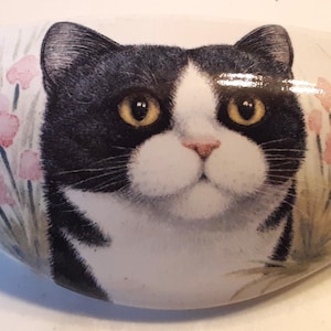 May include: A white, oval-shaped decorative stone featuring a black and white cat face with yellow eyes and a pink nose. Pink flowers and green foliage are painted on the sides of the stone, creating a charming, whimsical design.