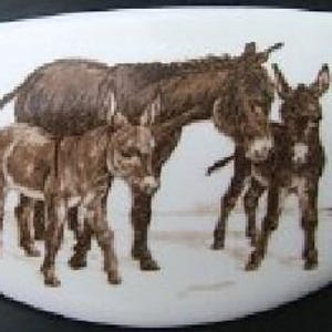 May include: White, oval-shaped ceramic dish featuring a detailed illustration of a family of donkeys. The artwork depicts a large donkey with two smaller donkeys and a baby donkey, all in shades of brown and tan.