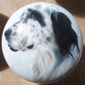 May include: A white and black dog with brown eyes, printed on a round ceramic knob.