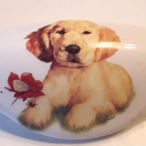 May include: White, oval-shaped decorative ceramic knob featuring a golden retriever puppy with brown fur and a red flower. The puppy is lying down, and the knob is likely for a drawer or cabinet.
