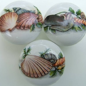 May include: Three white ceramic cabinet knobs with seashell designs. Each knob features a different arrangement of seashells in shades of brown, tan, and gray, with green foliage accents. The knobs are round and have a glossy finish.