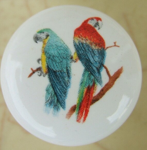 Cabinet Knobs Knob 2 Pretty Parrots Exotic Tropical Birds Etsy