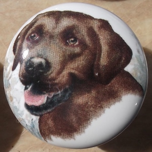 May include: A round white ceramic cabinet knob featuring a detailed illustration of a brown Labrador retriever dog. The dog is depicted with its mouth slightly open, showing a pink tongue, and has dark brown fur with lighter brown highlights.