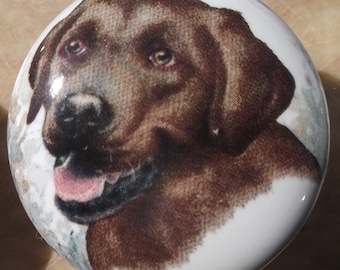 Chocolate Labrador  Ceramic Cabinet Knobs Dog Kitchen Door pulls