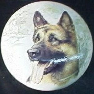 May include: A circular decorative plate featuring a detailed illustration of a German Shepherd dog. The dog is depicted in profile with a black muzzle, tan fur, and its tongue hanging out. The background is a textured, off-white cream color.