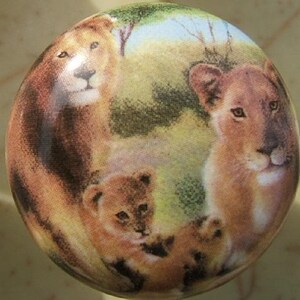 May include: A round decorative knob featuring a family of lions. The image shows a lion, a lioness, and a lion cub in a naturalistic setting with green and yellow tones. The knob has a glossy finish.
