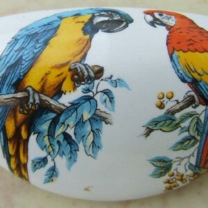 May include: White ceramic decorative piece featuring two colorful parrots perched on branches. One parrot is blue and yellow, the other is red, yellow, and blue. The parrots are facing each other, surrounded by green leaves and yellow berries.