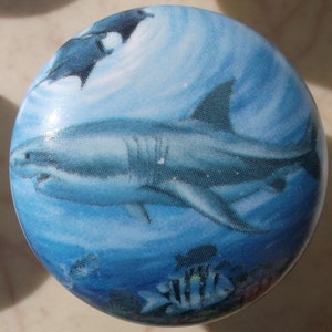 May include: A white ceramic knob with a blue and white image of a shark swimming in the ocean. The shark is in the foreground and there are smaller fish and coral in the background.