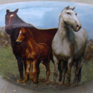 May include: A white ceramic oval dish with a painted scene of three horses. The horses are brown, white, and brown and white. The background is a blue sky with white clouds.