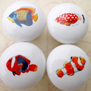 May include: Four white ceramic cabinet knobs with colorful fish designs. The fish illustrations include an angelfish, a clown triggerfish, and two clownfish. These decorative knobs are perfect for adding a nautical or ocean theme to furniture.