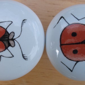 May include: Two white ceramic knobs with a black and red ladybug design. The ladybugs have black spots and are drawn in a cartoon style.