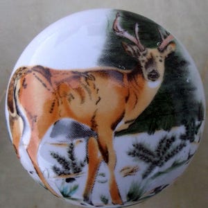 May include: A round, white ceramic cabinet knob featuring a detailed illustration of a deer with antlers. The deer is depicted in shades of brown and orange against a backdrop of green foliage and a white background.