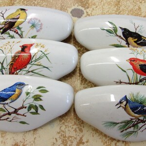May include: Six white, oval-shaped cabinet knobs with colorful bird illustrations. Each knob features a different bird species, including a yellow finch, a red cardinal, a bluebird, a black and yellow bird, a red and black bird, and a blue jay.