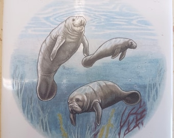 Sea cow Manatee Ceramic Tile wildlife accent backsplash serving tray