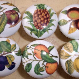 May include: Six white ceramic knobs with different fruit designs. The knobs feature a pineapple, plums, lemons, oranges, and apples.