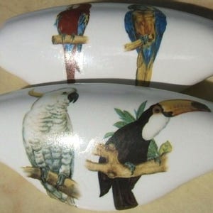 May include: Two white, oval-shaped decorative objects with colorful bird illustrations. One features a macaw and a blue and yellow parrot. The other has a white cockatoo and a toucan. The birds are perched on branches.