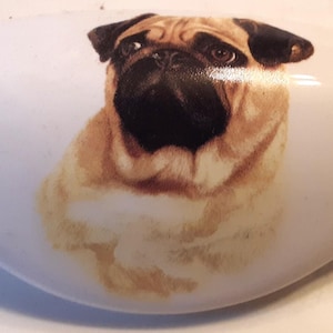 May include: A white ceramic cabinet knob featuring a detailed illustration of a pug dog. The pug has a tan and black coat, with a black muzzle and ears. The knob is oval-shaped and has a glossy finish.